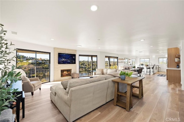 living room featuring a large fireplace and light hardwood / wood-style floors