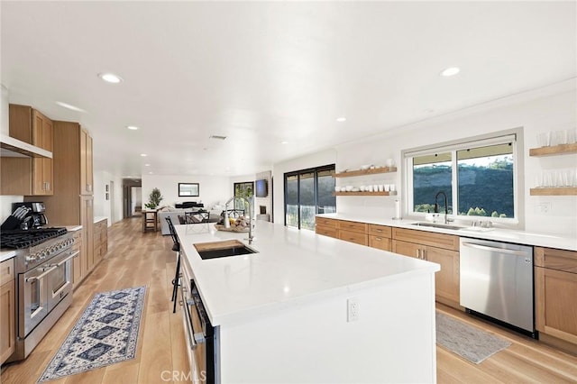 kitchen featuring a center island with sink, light hardwood / wood-style floors, sink, and stainless steel appliances