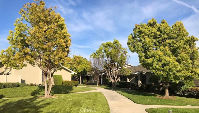 view of community with a lawn