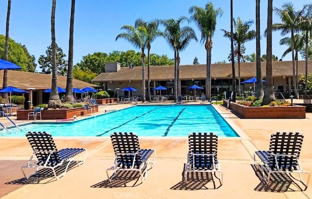 view of pool featuring a patio area