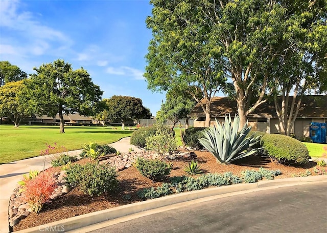 view of property's community featuring a lawn