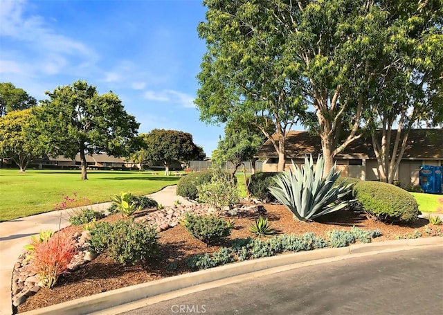 view of home's community featuring a lawn