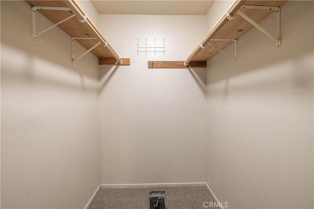 walk in closet featuring carpet flooring