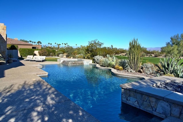 view of pool featuring a patio area