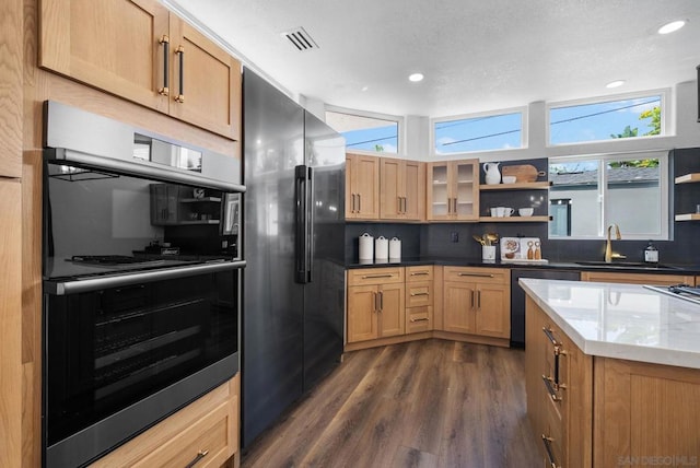 kitchen with decorative backsplash, dark hardwood / wood-style floors, sink, and stainless steel appliances