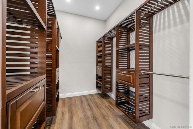 walk in closet with wood-type flooring