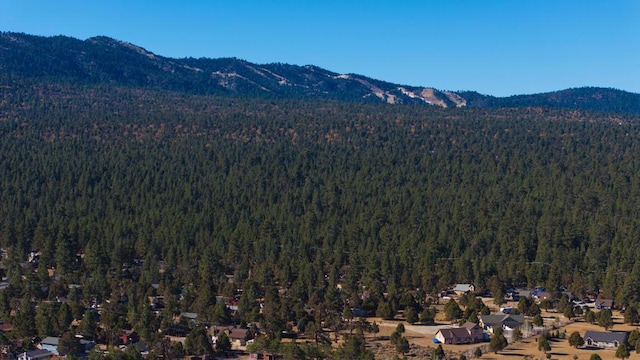 property view of mountains