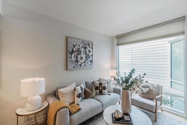 living room featuring expansive windows