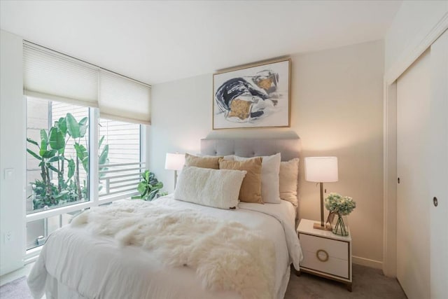 bedroom with carpet flooring