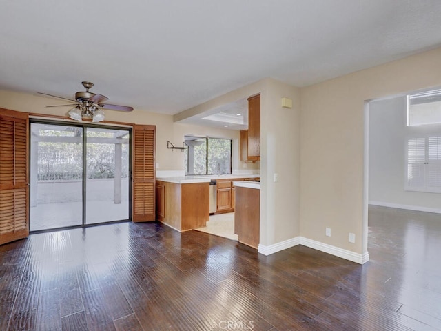 kitchen featuring ceiling fan, dark wood-type flooring, stainless steel dishwasher, and a healthy amount of sunlight