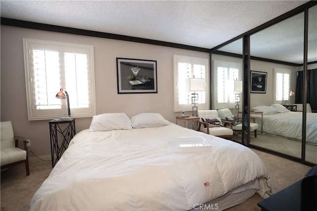 carpeted bedroom featuring crown molding, a textured ceiling, and multiple windows