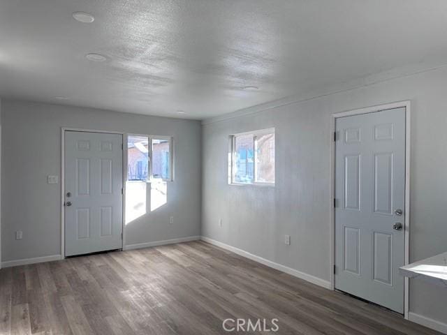 entrance foyer featuring wood-type flooring