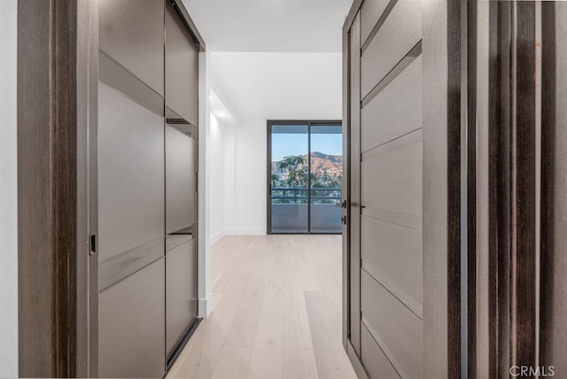 hallway featuring light hardwood / wood-style flooring