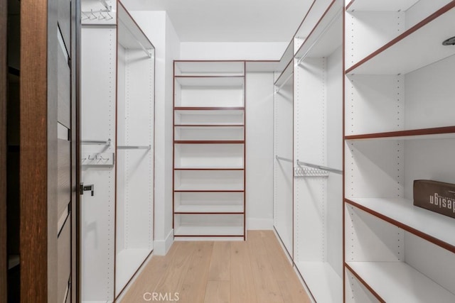 walk in closet featuring light wood-type flooring