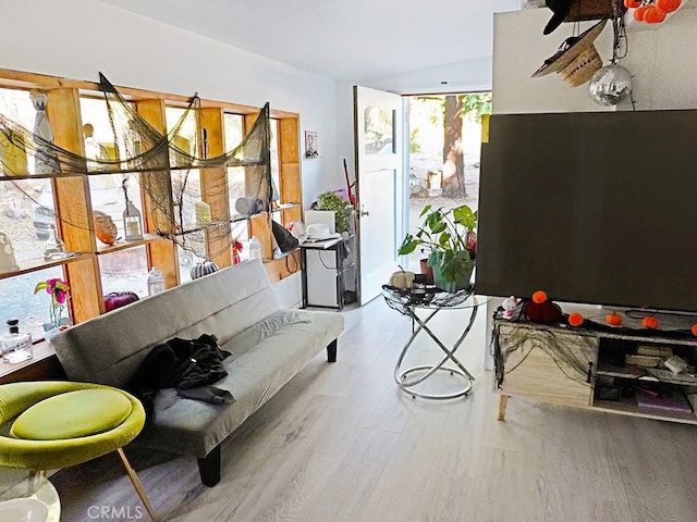 sitting room featuring light hardwood / wood-style flooring