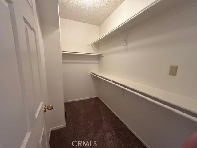 spacious closet featuring dark colored carpet