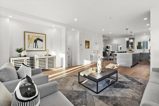 living room with wood-type flooring