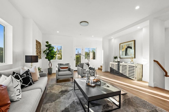 living room featuring hardwood / wood-style flooring