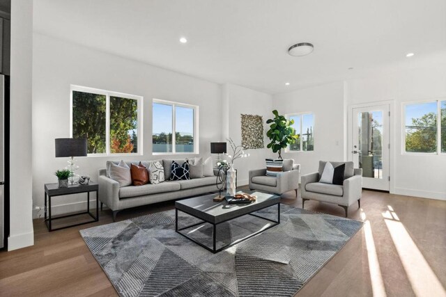 living room with plenty of natural light and light hardwood / wood-style flooring