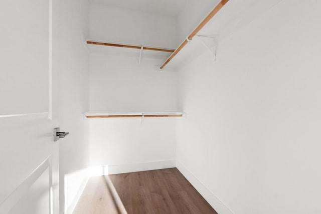 spacious closet featuring wood-type flooring