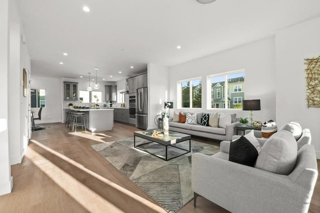 living room with a wealth of natural light and hardwood / wood-style floors