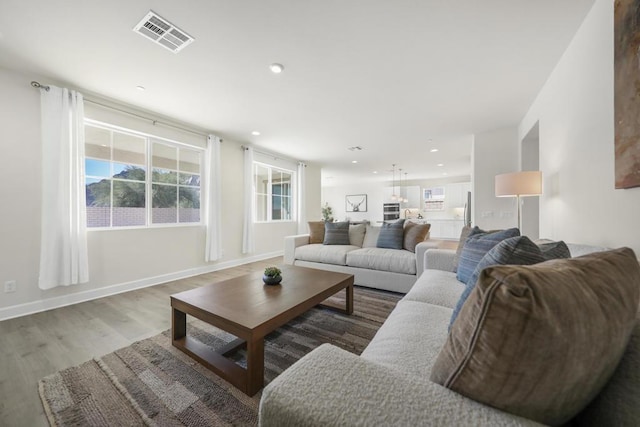 living room featuring wood-type flooring