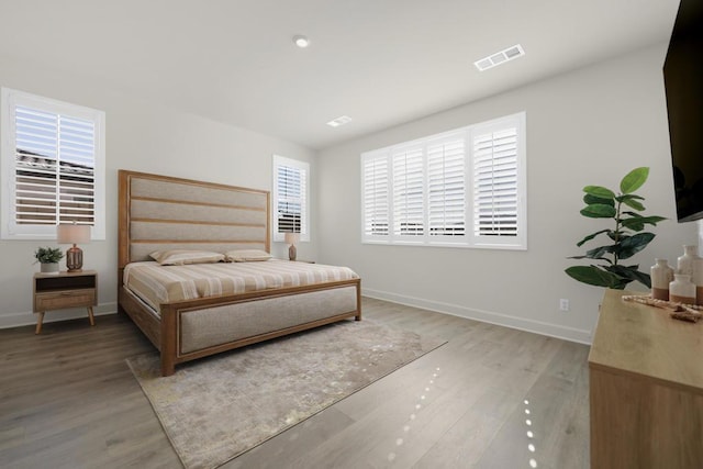 bedroom featuring multiple windows and wood-type flooring