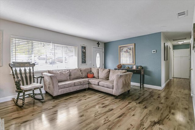 living room featuring hardwood / wood-style floors