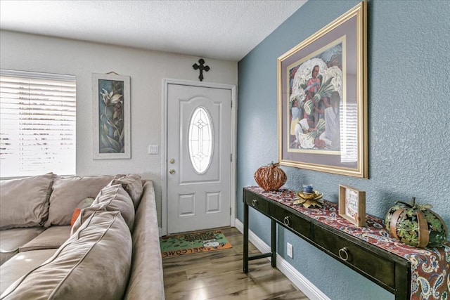 entryway with hardwood / wood-style floors, a textured ceiling, and a wealth of natural light