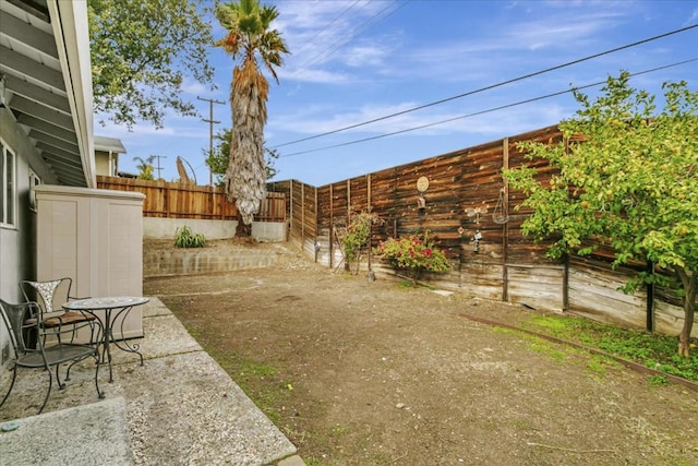 view of yard featuring a patio area