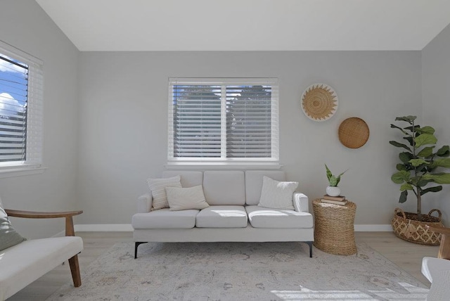 living room featuring light hardwood / wood-style floors and a wealth of natural light