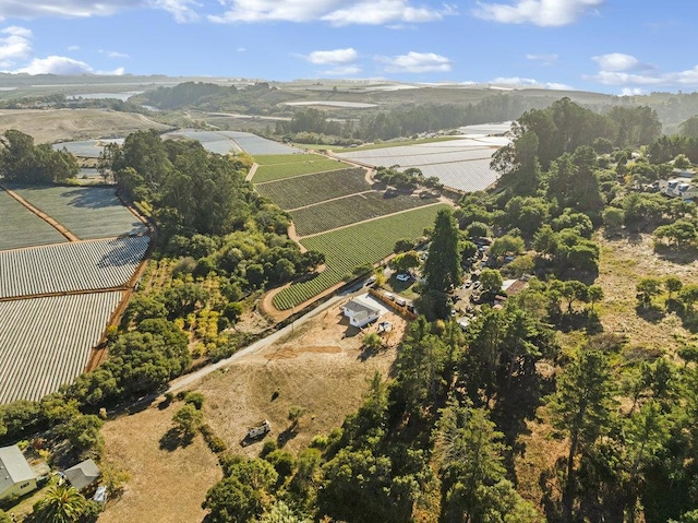 aerial view with a mountain view