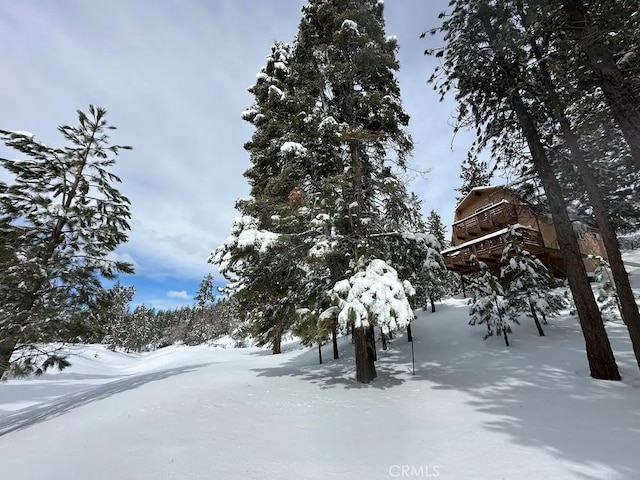 view of yard layered in snow