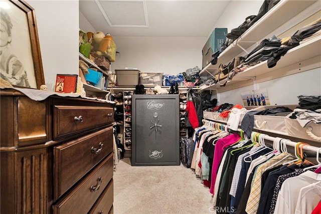 spacious closet with light carpet