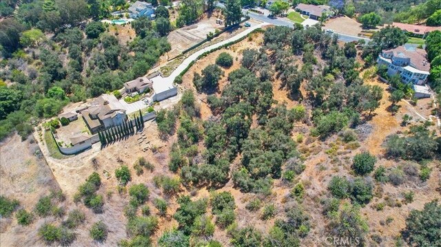 23431 Ridge Line Rd, Diamond Bar, CA 91765 - photo 6