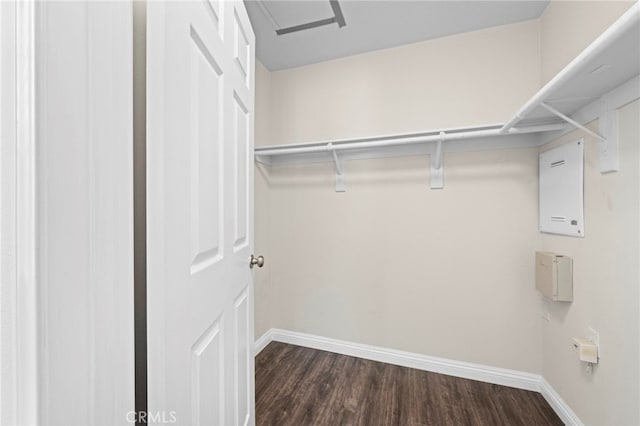 spacious closet with dark wood-type flooring