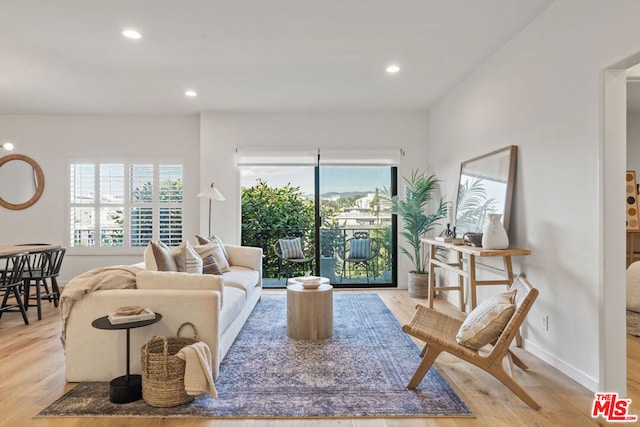 living room featuring light hardwood / wood-style flooring