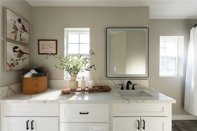 bathroom featuring hardwood / wood-style flooring and vanity