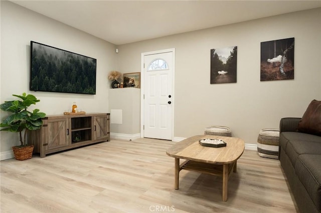 living room with light hardwood / wood-style floors