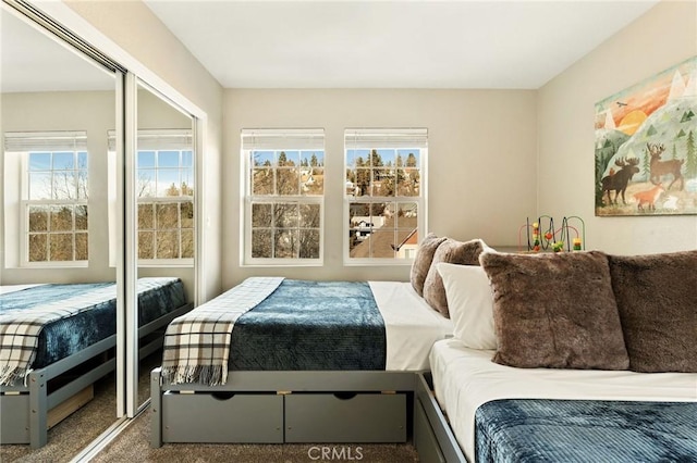 bedroom featuring carpet flooring and multiple windows