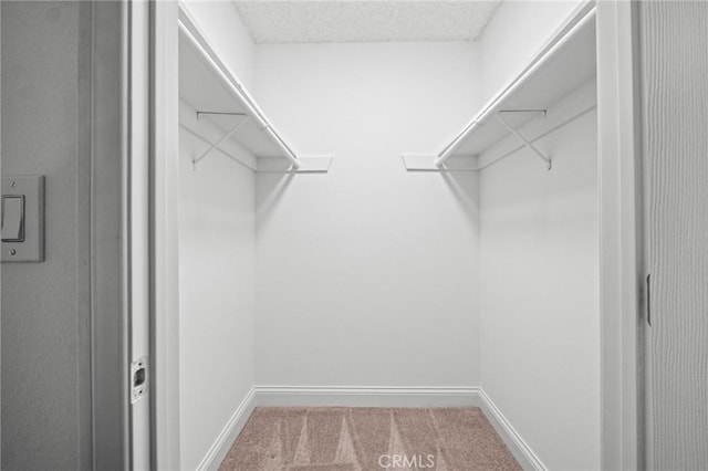 spacious closet featuring carpet