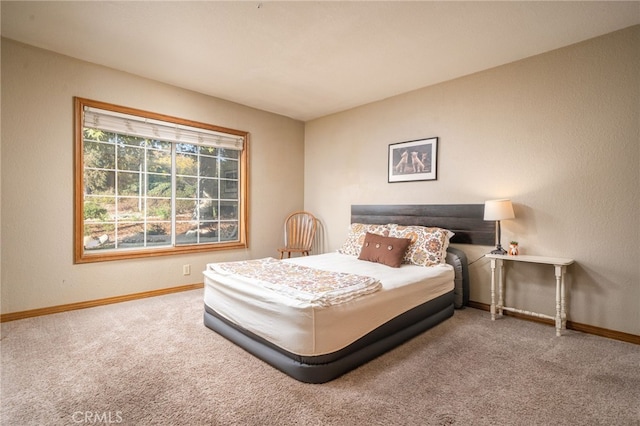 bedroom with carpet