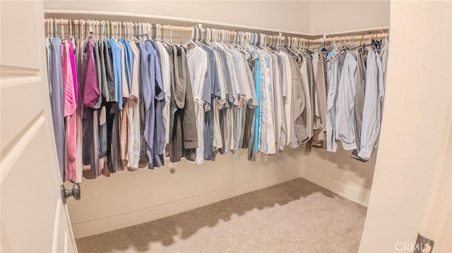 spacious closet with carpet