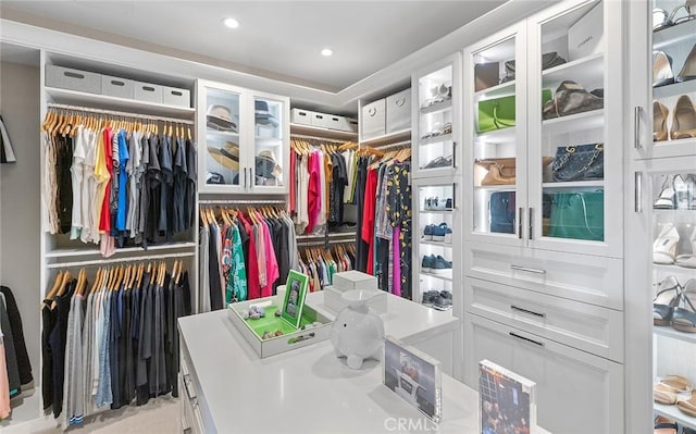 view of walk in closet