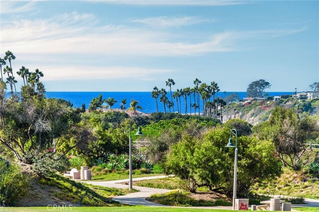 51 Monarch Beach Resort S, Dana Point, CA 92629 - water view