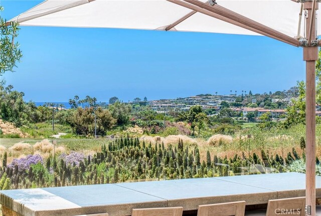51 Monarch Beach Resort S, Dana Point, CA 92629 - view of patio