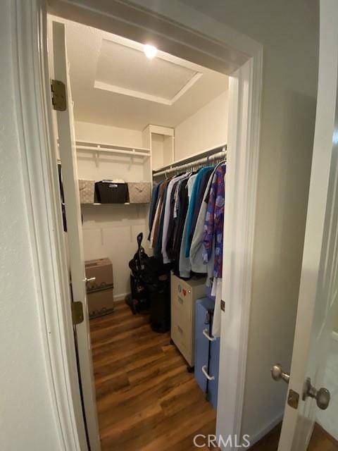 walk in closet featuring dark hardwood / wood-style floors