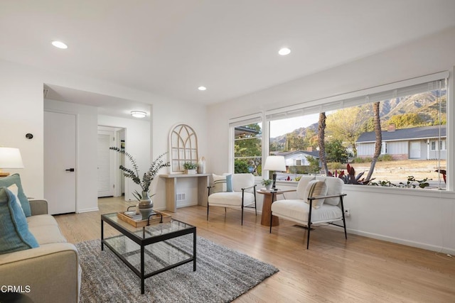 living room featuring light hardwood / wood-style floors