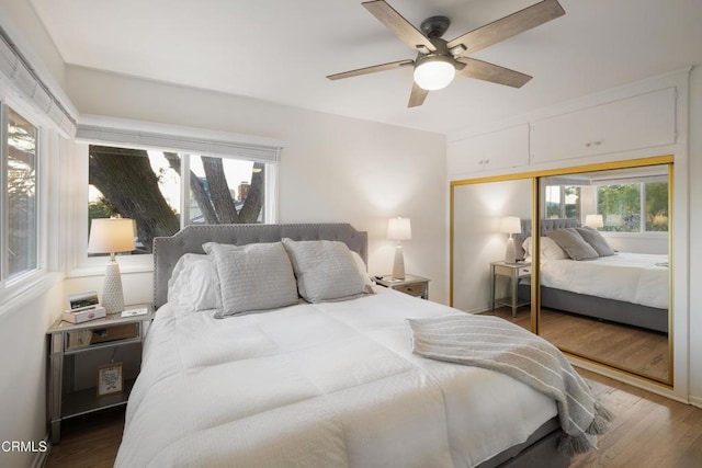 bedroom featuring ceiling fan, dark wood-type flooring, and a closet