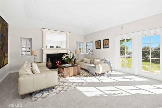 carpeted living room with a raised ceiling